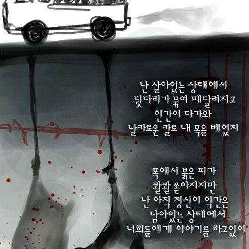 젖소 모아이나의 이야기.jpg