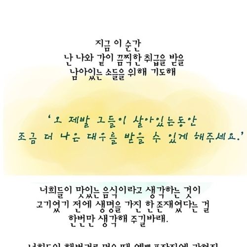 젖소 모아이나의 이야기.jpg