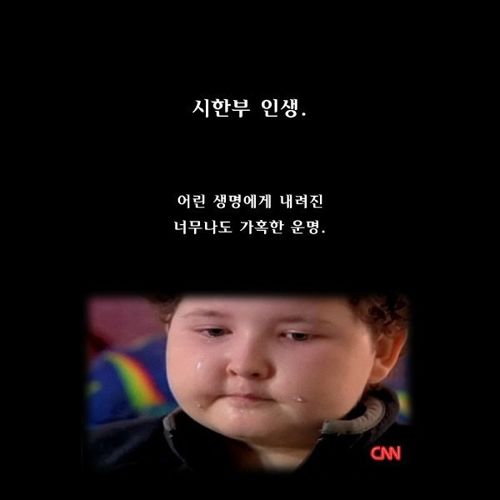 작은 천사.jpg