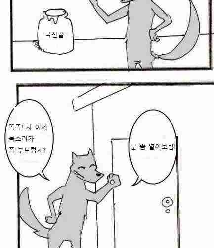 늑대와 양.jpg