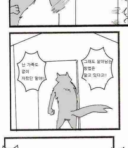 늑대와 양.jpg