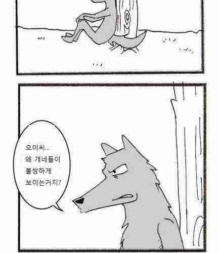 늑대와 양.jpg