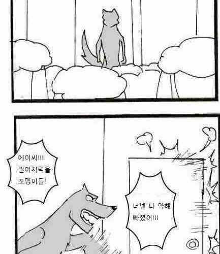 늑대와 양.jpg