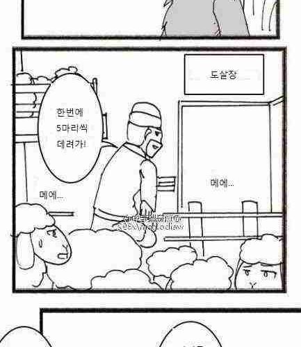 늑대와 양.jpg