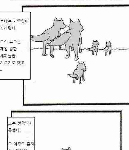 늑대와 양.jpg