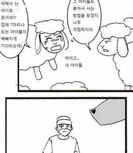 늑대와 양.jpg