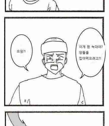 늑대와 양.jpg