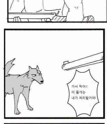 늑대와 양.jpg