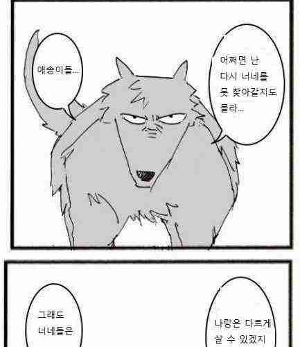 늑대와 양.jpg