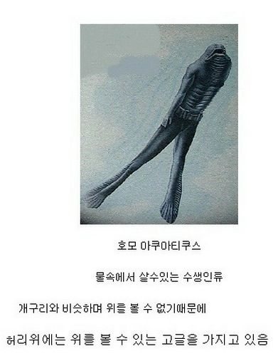 미래의 인류(?).jpg