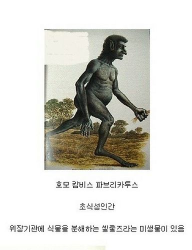 미래의 인류(?).jpg