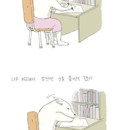 [스압]남자후배이야기.jpg