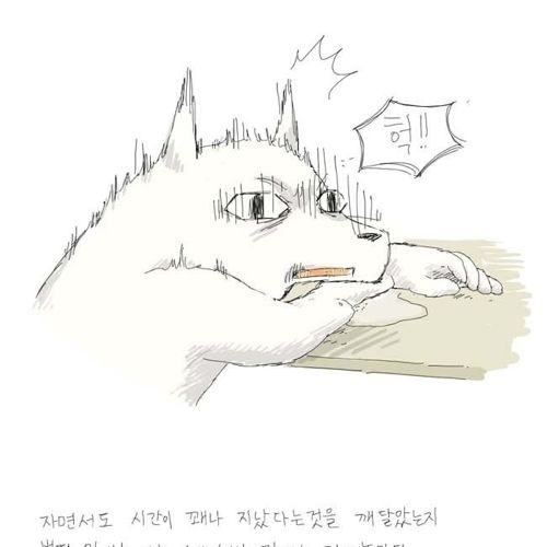 [스압]남자후배이야기.jpg