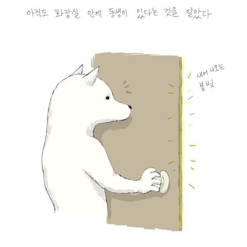 [스압]남자후배이야기.jpg