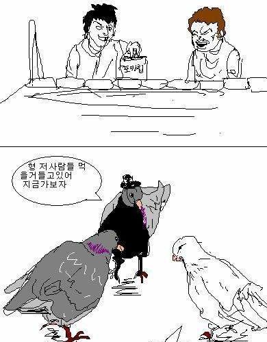 비둘기 만화.jpg