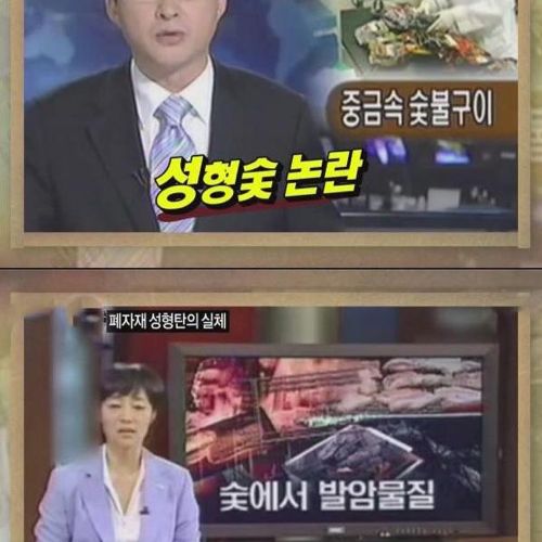 숯불구이 속 성형숯의 진실.jpg