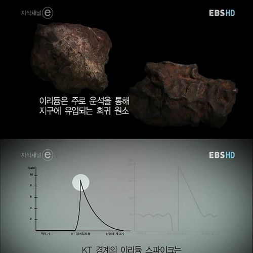 지식채널e - 스파이크.jpg