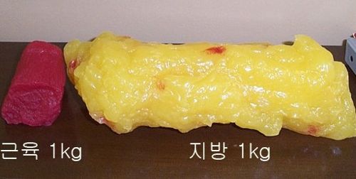 근육1kg과 지방1kg의 차이.jpg