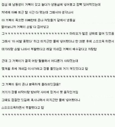 괜히 장수하는게 아니였어.txt