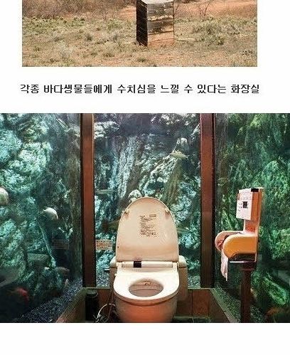 특이한 화장실들.jpg