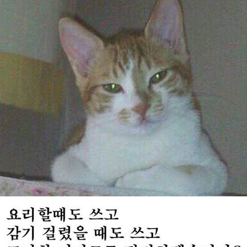 오호~휴지를 사오셨군요?.jpg