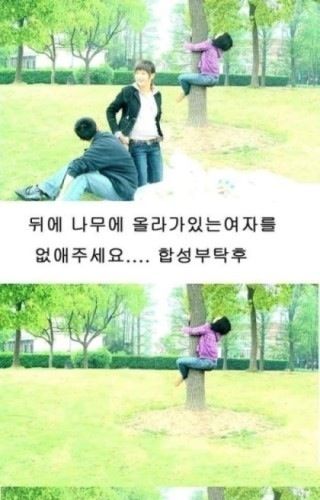 나무좀 지워주세요.jpg