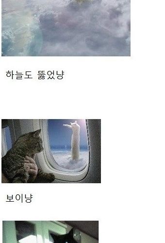 냥드립 모음.jpg