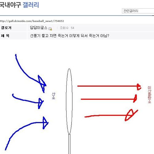 야갤의 흔한 호흡설.jpg