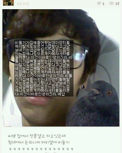 비둘기랑 셀카찍음.jpg