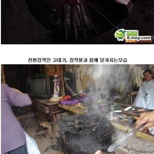 대륙의 고데기.jpg