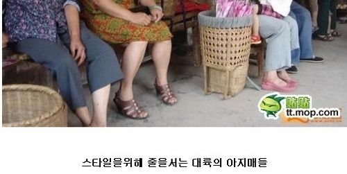 대륙의 고데기.jpg