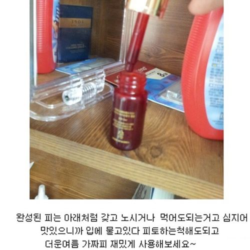 [혐] 디씨인의 가짜피 만들기.jpg