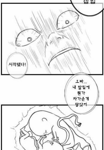 낙태만화2.jpg