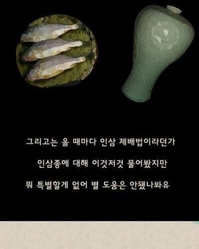 만화-인삼.jpg