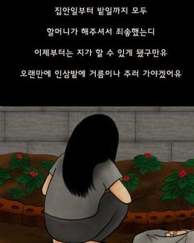 만화-인삼.jpg