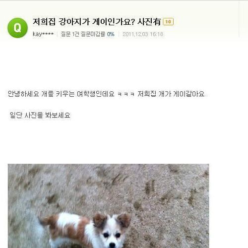 저희집 개가 게이인가요?.jpg