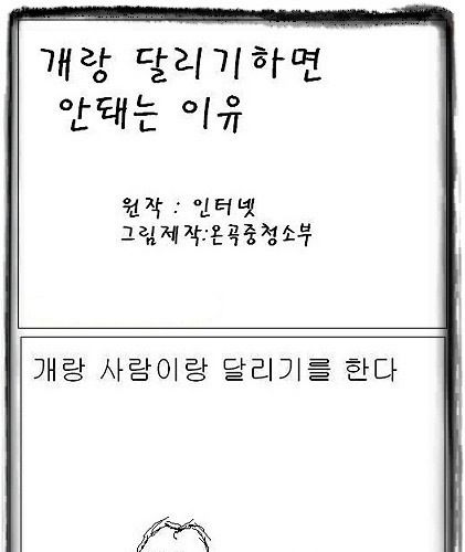 개랑달리기하면 안되는이유.jpg