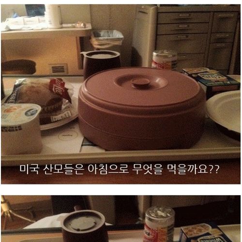 미국산모들의 아침.jpg