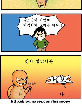 토끼와거북이.jpg