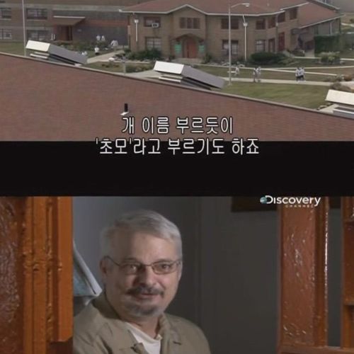 미국의 아동 성범죄자.jpg