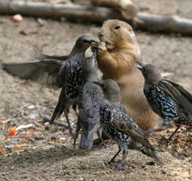 학교에서 뭐먹을때.jpg