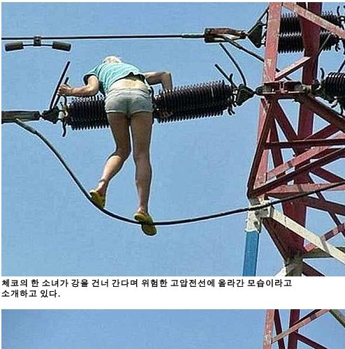 소녀가 고압선에 올라간이유.jpg