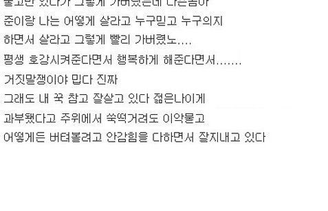 오빠 거기선 행복해?txt