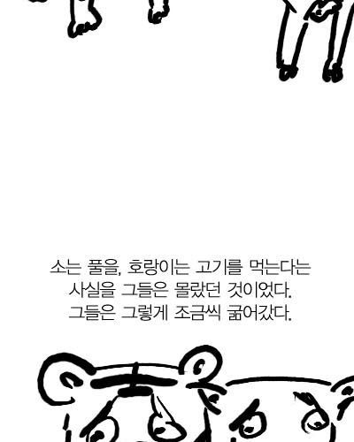 호랑이와 소.jpg