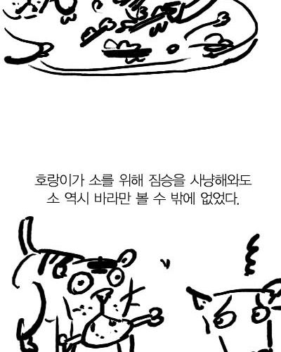 호랑이와 소.jpg