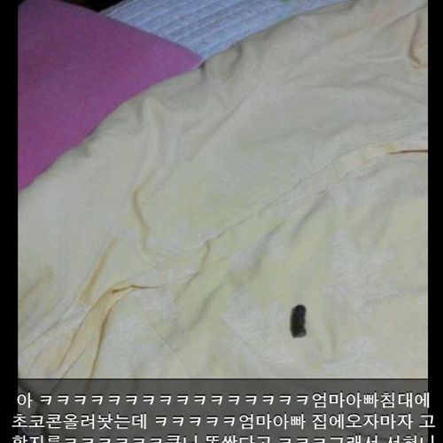 초코콘으로 엄빠낚기.jpg