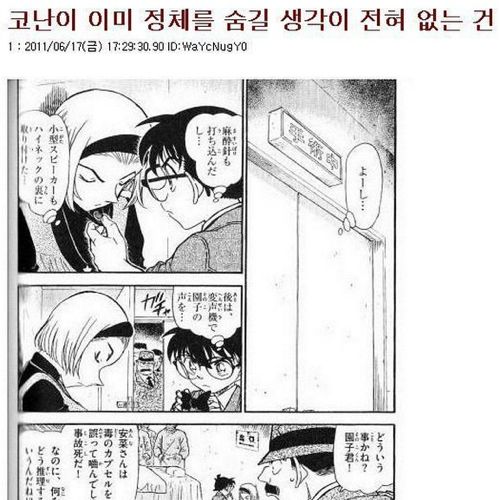 숨기도 귀찮아진 코난.jpg