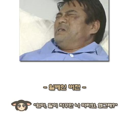 달이 따라옴.jpg