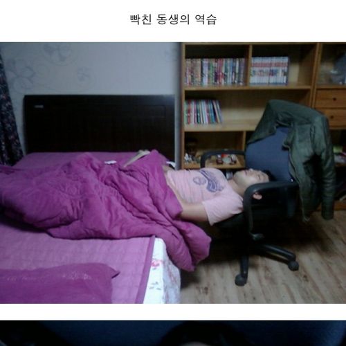 이말년의 동생디스.jpg