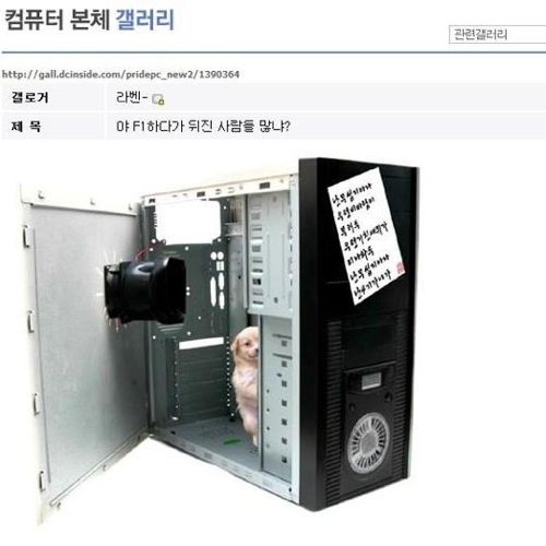 컴갤의 개드립.jpg